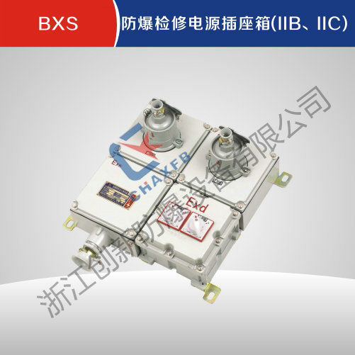 BXS亚体育检修电源插座箱(IIB、IIC)
