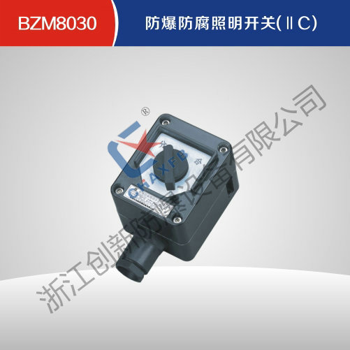 BZM8030亚体育防腐照明开关(IIC)