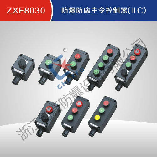ZXF8030亚体育防腐主令控制器(IIC)