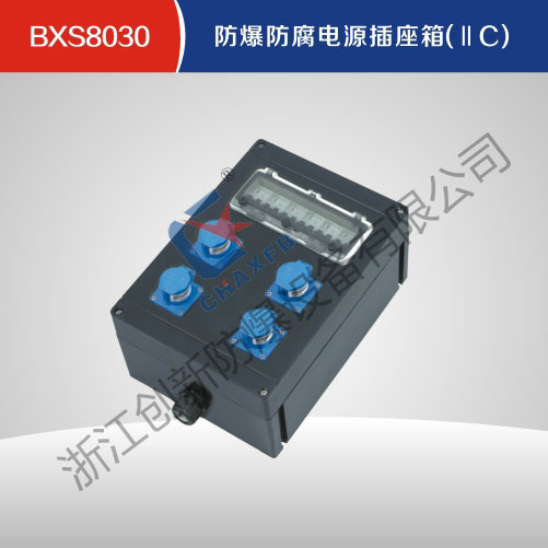 BXS8030亚体育防腐电源插座箱(IIC)