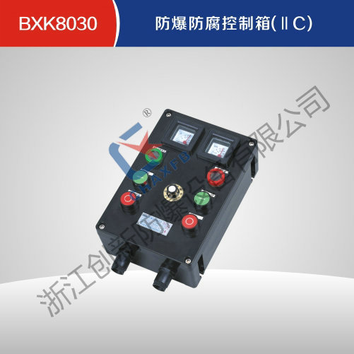 BXK8030亚体育防腐控制箱(IIC)